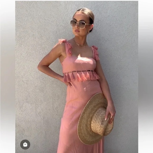 Antonio Melani 12, 14Pink Nat Note Cici Tassel Linen Maxi Dress Sleeveless NWT - Picture 5 of 16